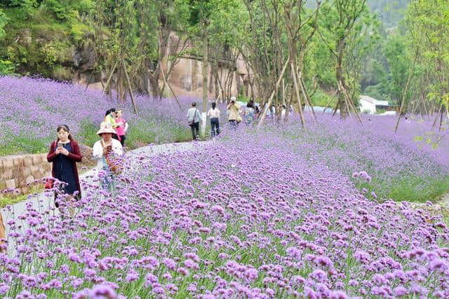 南充·顺庆西河生态乡村旅游