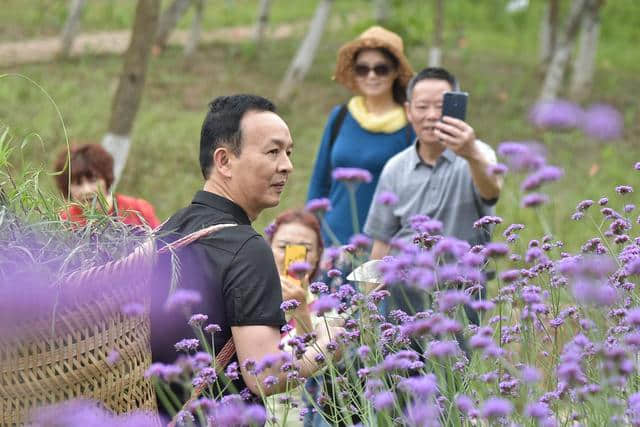 南充·顺庆西河生态乡村旅游