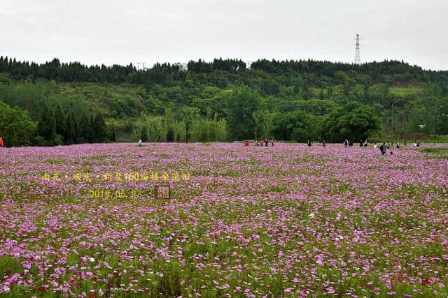 南充·顺庆西河生态乡村旅游