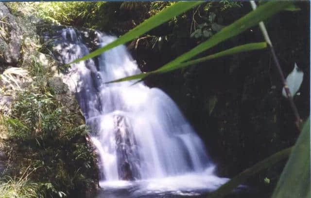 肇庆旅游景点--鼎湖九龙湖