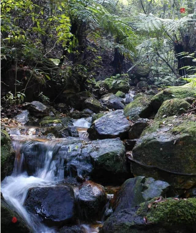 肇庆旅游景点--鼎湖九龙湖