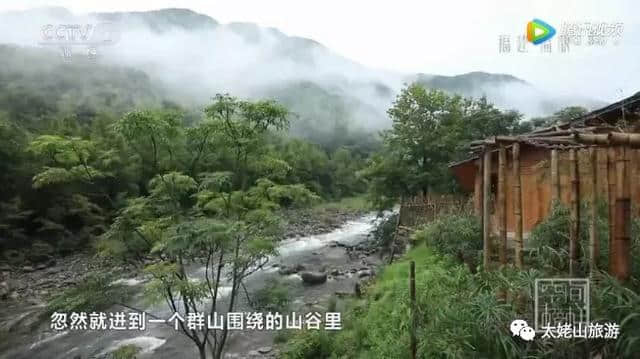 太姥之旅｜弱水三千只饮一瓢，醉在九鲤青山绿水间！