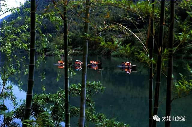 太姥之旅｜弱水三千只饮一瓢，醉在九鲤青山绿水间！