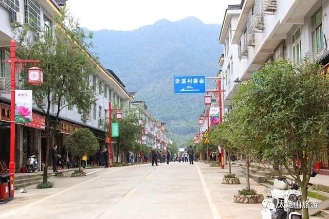 太姥之旅｜弱水三千只饮一瓢，醉在九鲤青山绿水间！