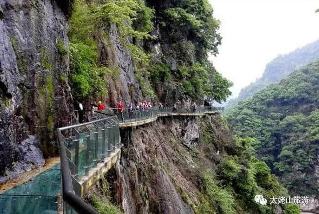 太姥之旅｜弱水三千只饮一瓢，醉在九鲤青山绿水间！