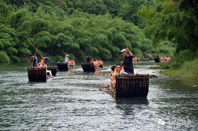 太姥之旅｜弱水三千只饮一瓢，醉在九鲤青山绿水间！