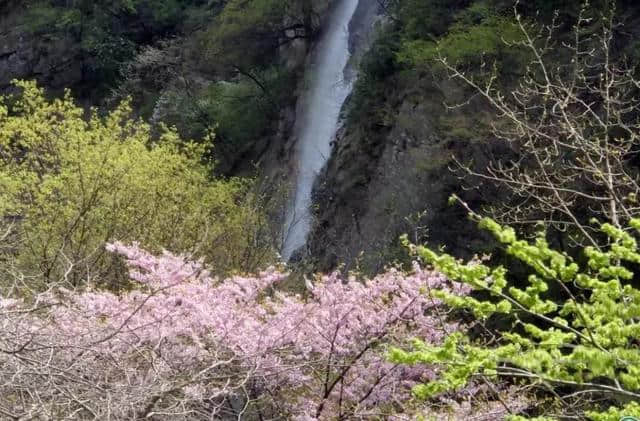 太白山春日乐活节，199元住星级酒店享双人温泉~