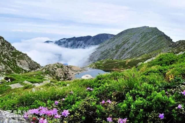 好看的风景千篇一律，独特的太白山万里挑一