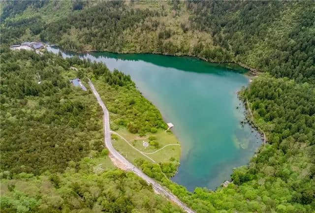 杜鹃开啦！3.5h就能刹拢康定情歌风景区，邂逅318线十里杜鹃长廊