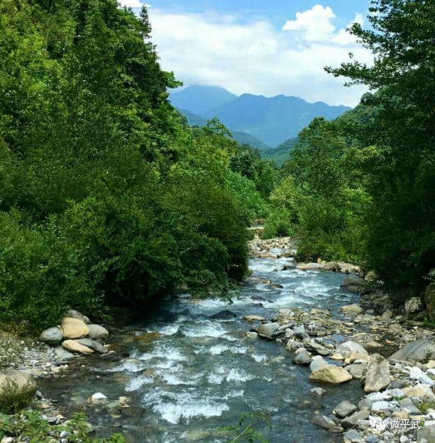 耍水洗肺，还有神树！平武这个私藏秘境绝美清凉，畅享20℃的夏天！