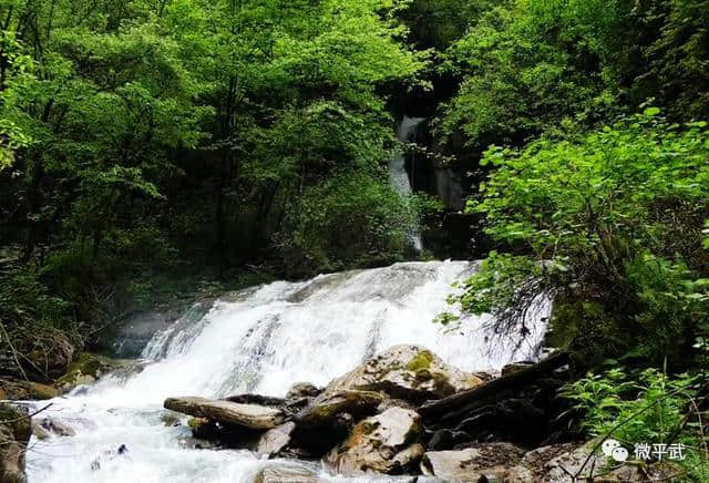 耍水洗肺，还有神树！平武这个私藏秘境绝美清凉，畅享20℃的夏天！