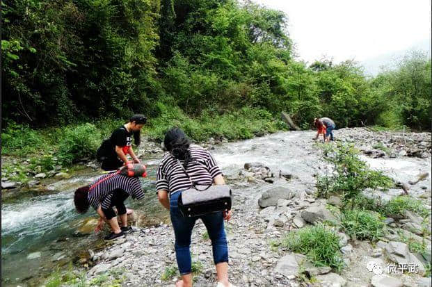 耍水洗肺，还有神树！平武这个私藏秘境绝美清凉，畅享20℃的夏天！