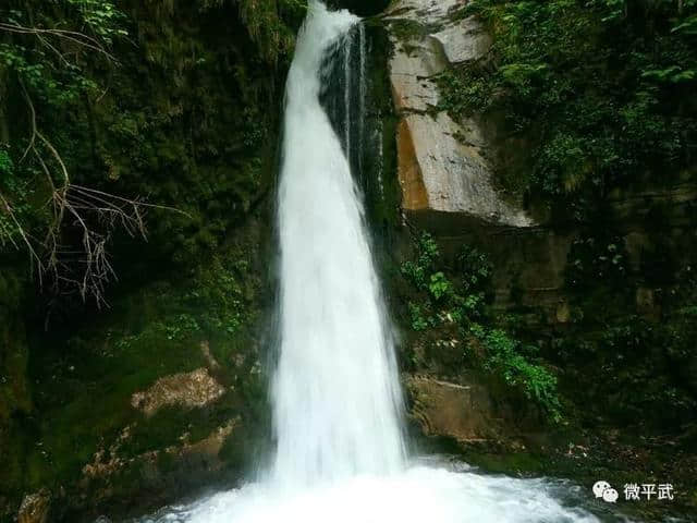 耍水洗肺，还有神树！平武这个私藏秘境绝美清凉，畅享20℃的夏天！