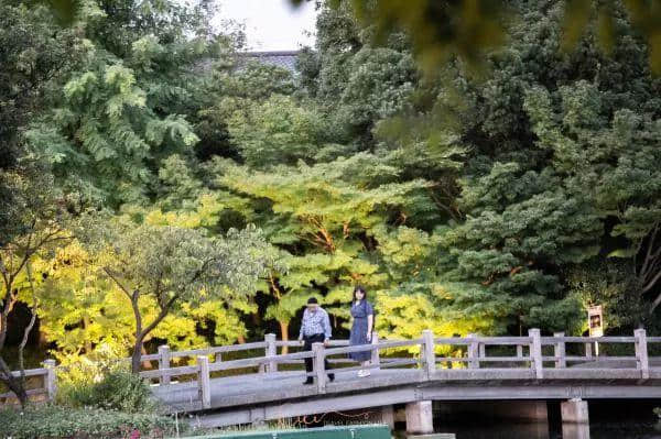 名古屋｜时髦小众又合适亲子的旅行玩法，收藏！