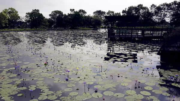 我在台湾五月中9日台湾自由行：台中，花莲，垦丁，台北