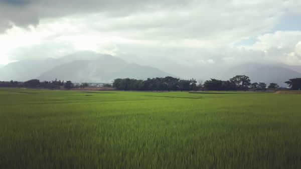 我在台湾五月中9日台湾自由行：台中，花莲，垦丁，台北