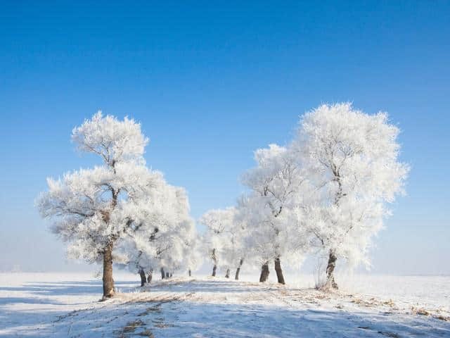 吉林雾凇岛-松花湖-童话雪乡-东北虎林园-哈尔滨冰雪大世界6日游