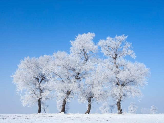 吉林雾凇岛-松花湖-童话雪乡-东北虎林园-哈尔滨冰雪大世界6日游