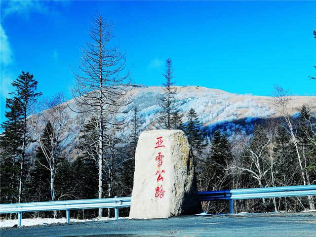 吉林雾凇岛-松花湖-童话雪乡-东北虎林园-哈尔滨冰雪大世界6日游