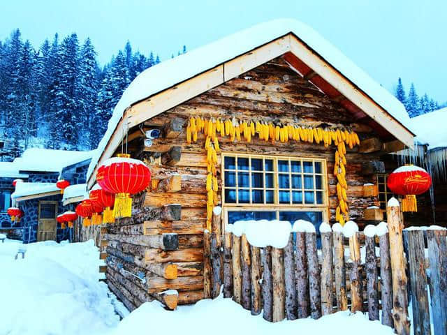 吉林雾凇岛-松花湖-童话雪乡-东北虎林园-哈尔滨冰雪大世界6日游