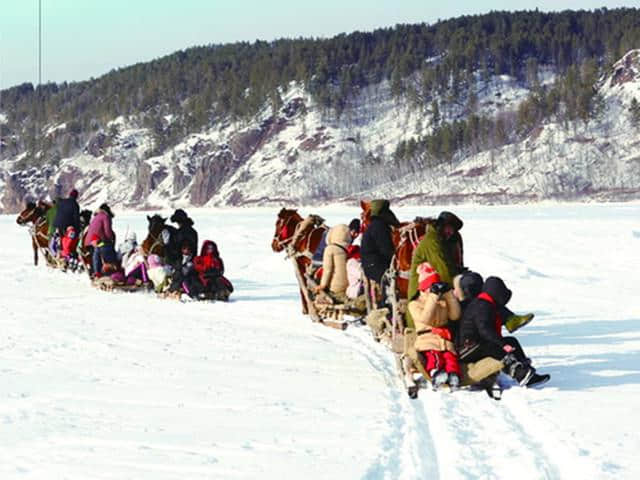 吉林雾凇岛-松花湖-童话雪乡-东北虎林园-哈尔滨冰雪大世界6日游