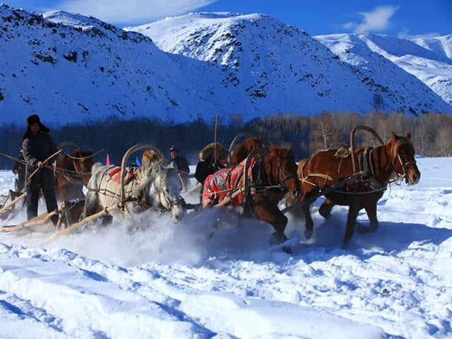 吉林雾凇岛-松花湖-童话雪乡-东北虎林园-哈尔滨冰雪大世界6日游