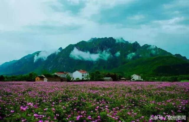 安徽20条最美乡村旅游路线，宿州这些地方上榜