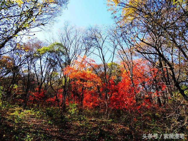 秋染松花湖