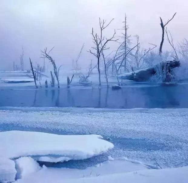 神农架滑雪场明日首滑，看雾凇，打雪仗……是时候开始一场关于雪的旅行了！