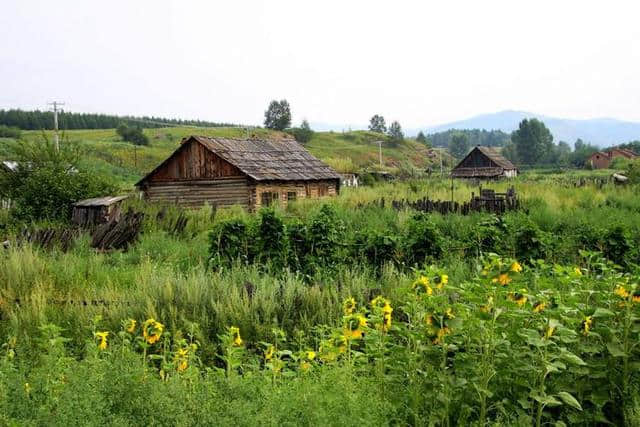 距离天堂一公里——呼伦贝尔大草原完美旅游攻略