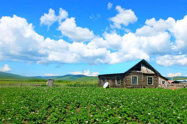 距离天堂一公里——呼伦贝尔大草原完美旅游攻略