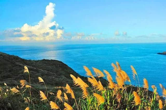 太撩人！夏日最惊艳的“蓝眼泪”现象来了！浙海岛简直美炸了！