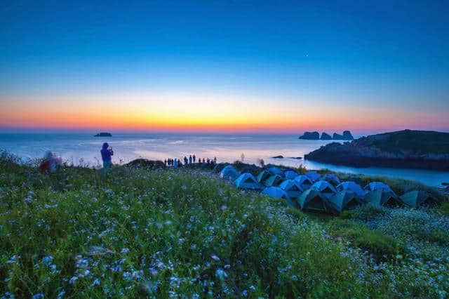 太撩人！夏日最惊艳的“蓝眼泪”现象来了！浙海岛简直美炸了！