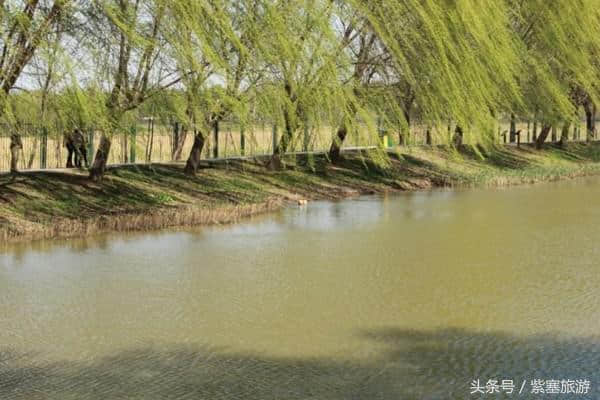 紫塞京津冀旅游攻略：顺义汉石桥湿地公园踏青