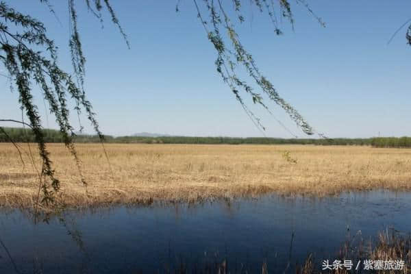 紫塞京津冀旅游攻略：顺义汉石桥湿地公园踏青