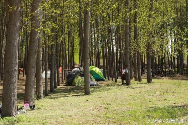 紫塞京津冀旅游攻略：顺义汉石桥湿地公园踏青