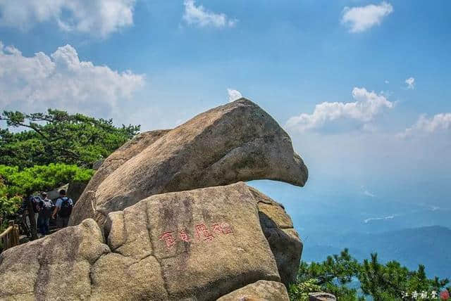 挑战一夏！在“薄如刀锋”的山脊上，过19.2℃的清凉夏天