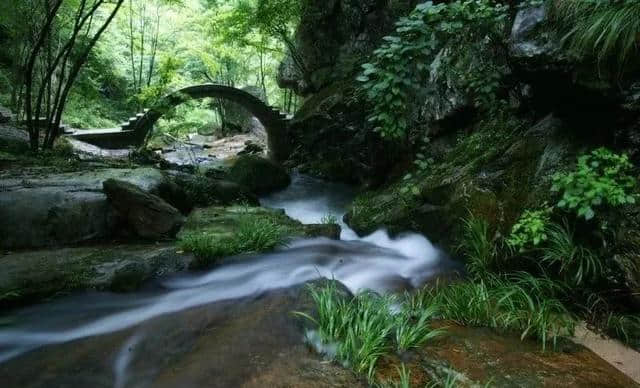 挑战一夏！在“薄如刀锋”的山脊上，过19.2℃的清凉夏天