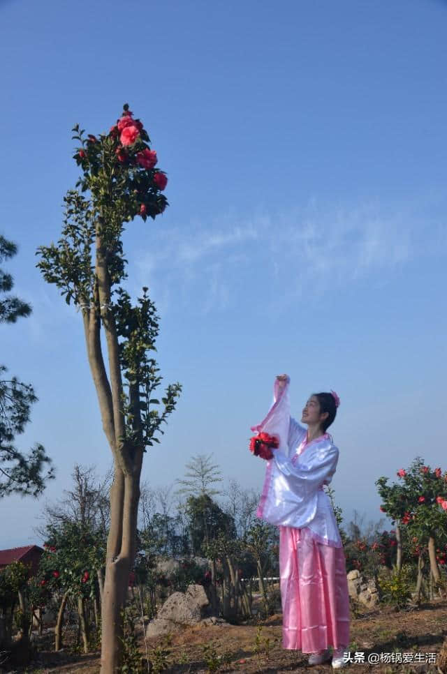 湖北长阳：有1个地方，据说是自驾游的“猎奇之旅”！这是真的吗