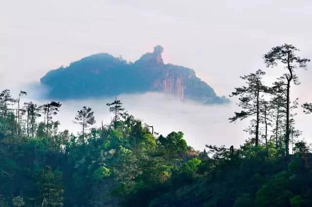 超实用｜春节泰宁旅游吃喝玩乐总攻略