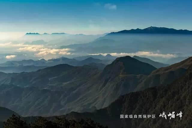 超实用｜春节泰宁旅游吃喝玩乐总攻略