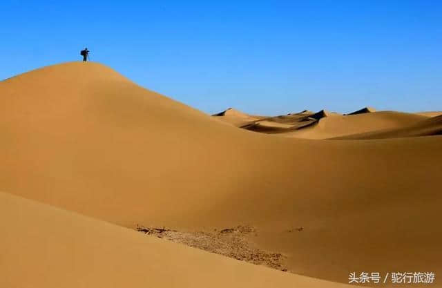 金塔沙漠胡杨林旅游指南