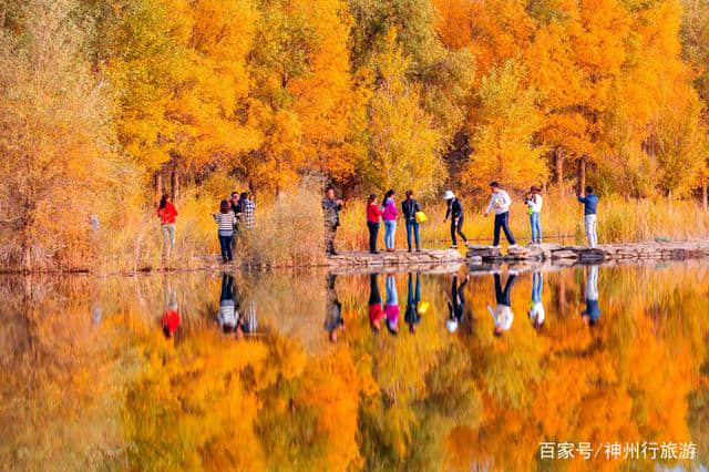 2018去额济纳旗胡杨林最佳旅游时间，门票及路线，赏最美金秋