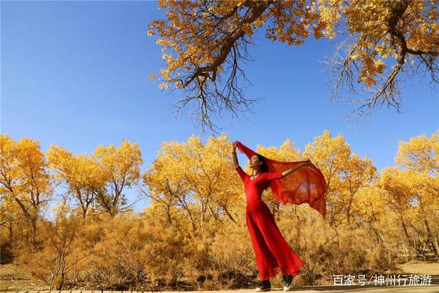 2018去额济纳旗胡杨林最佳旅游时间，门票及路线，赏最美金秋