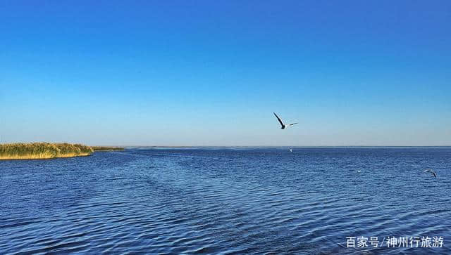 2018去额济纳旗胡杨林最佳旅游时间，门票及路线，赏最美金秋