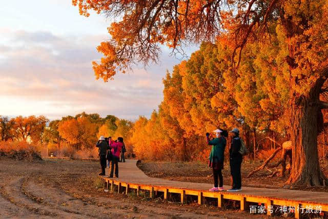 2018去额济纳旗胡杨林最佳旅游时间，门票及路线，赏最美金秋