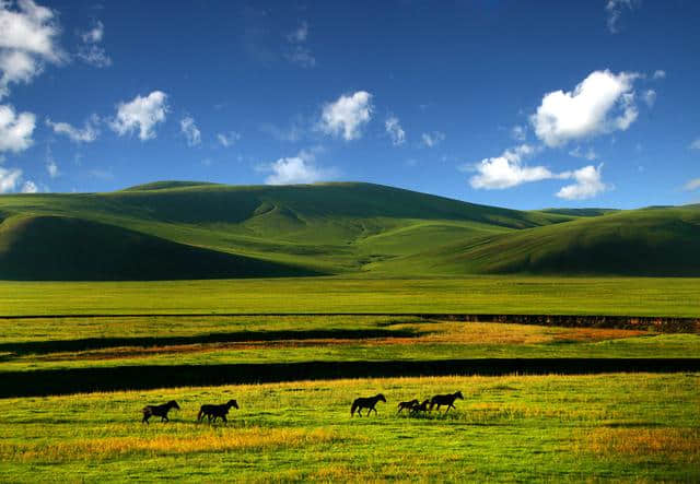 中国十大草原旅游胜地