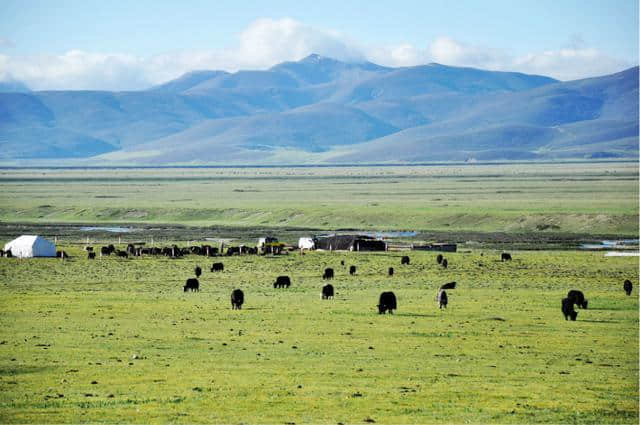 中国十大草原旅游胜地