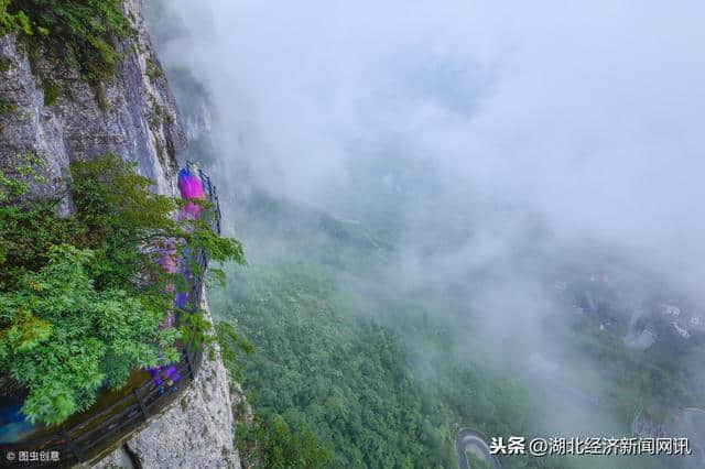 五一小长假去哪玩？灵秀湖北十大赏花旅游经典线路今日发布