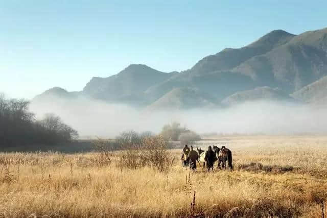 喜报！神农架申遗成功，成为中国第一个、全球第二个联合国教科文组织“三冠王”！